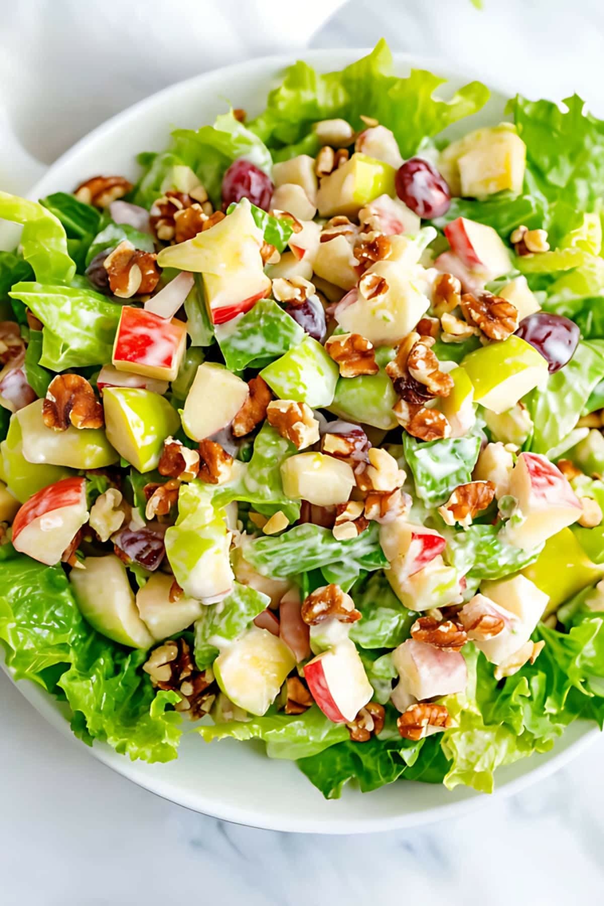 Apple walnut salad